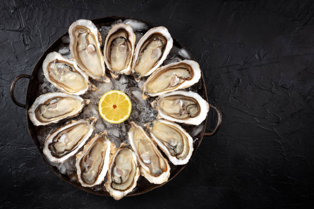 istock Oysters with copy space. A platter of a dozen oysters, shot from above 1312414227