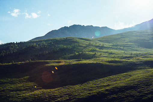 Beautiful sunny view to green hills and mountain in sunlight. Scenic nature landscape with lens flare on background of green hills with trees. Colorful alpine scenery to green mountains in sunlight.