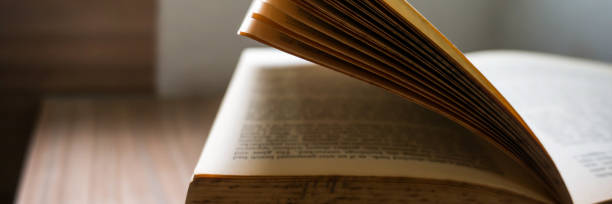 istock Open old books on the table in library Education learning conceptbooks close up. 1312415942