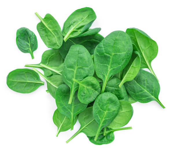 istock Spinach leaves isolated on white background. Green spinach top view. 1312417628