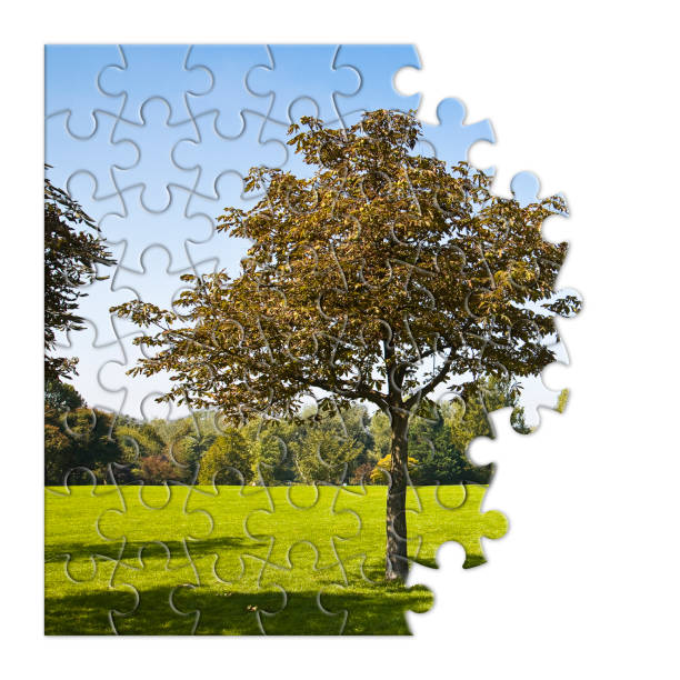 istock Isolated tree in a green meadow - environmental conservation concept image in jigsaw puzzle shape 1312418528