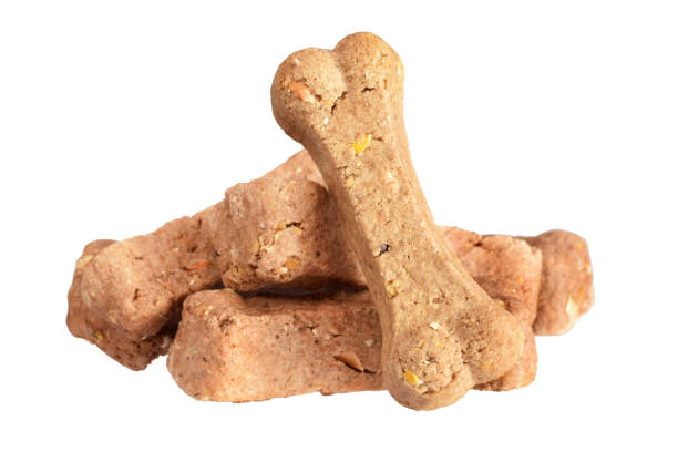 istock Dry brown dog feeding snack in bone shape closed up isolated on white 1312419709