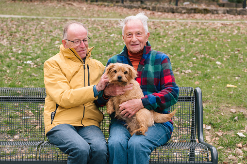 senior gay couple with dog sit on a park bench, rural background