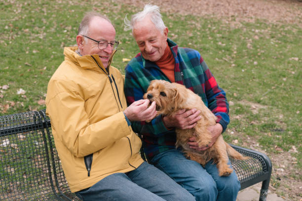 senior gay couple with dog sit on a park bench, rural background senior gay couple with dog sit on a park bench, rural background dog disruptagingcollection stock pictures, royalty-free photos & images