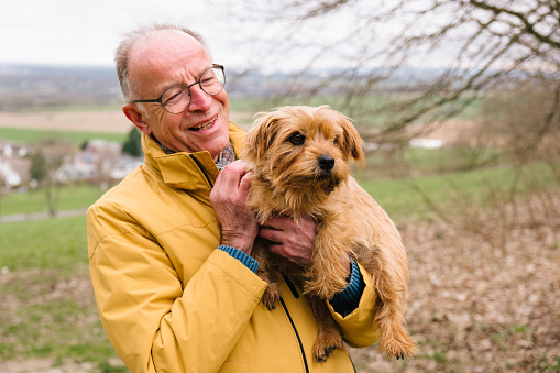 Smiling european old man in casual and glasses enjoy walk with dog and spare time, hugs in park, outdoor. Pet love, friend, animal care and fun together in city, sun flare