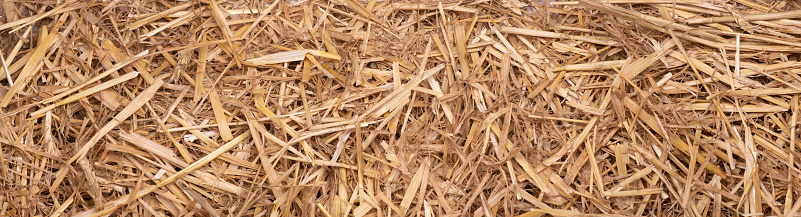 a bunch of straw as border, panorama or background