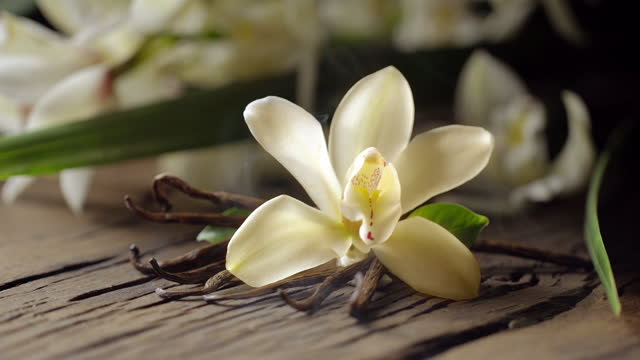 Vanilla flower, together with vanilla sticks, emit a “fragrance” in the form of smoke. Located on an old wooden board, behind - vanilla orchid.