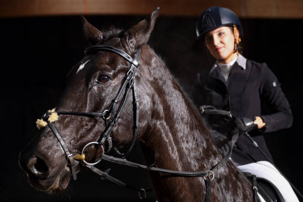 istock Woman riding a horse 1312428441