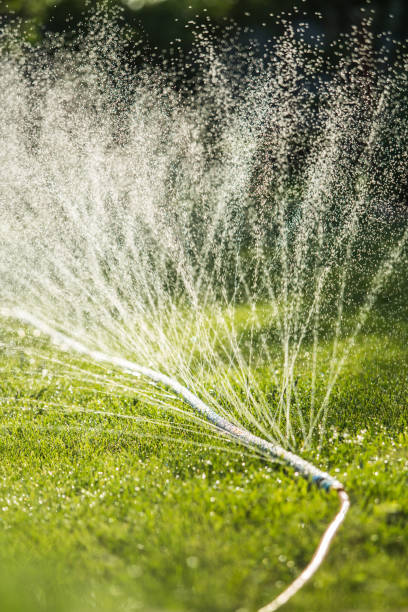 istock water sprinkler spraying water 1312428874