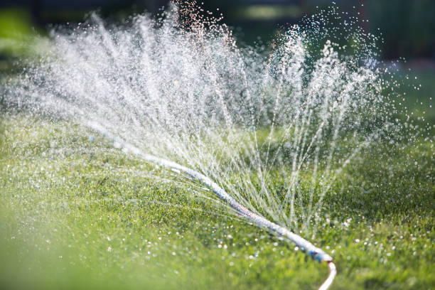 istock water sprinkler spraying water 1312428877