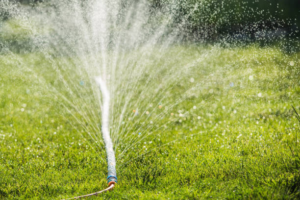 istock water sprinkler spraying water 1312428878