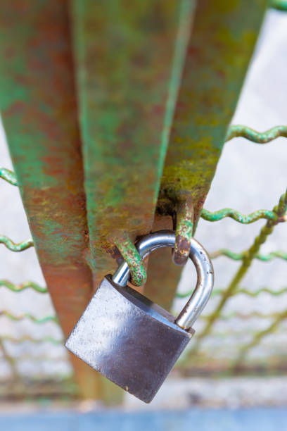 istock Dark colored padlock that closes a green gate. 1312430273