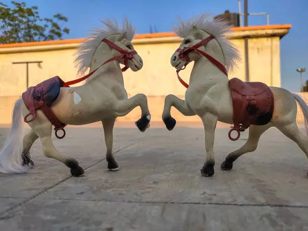 Photo of Stock photo of two white color plastic horse toy kept on floor under bright sunlight on blur background at Gulbarga Karnataka India.