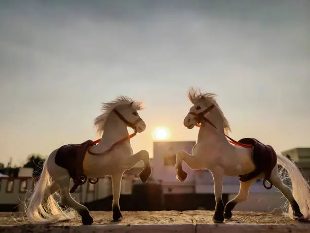 Photo of Stock photo of two white color plastic horse toy kept on floor under bright sunlight on blur background at Gulbarga Karnataka India.