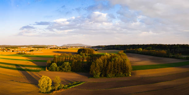 istock Panorama shot rural area with path between fields of leading to forest. 1312431315