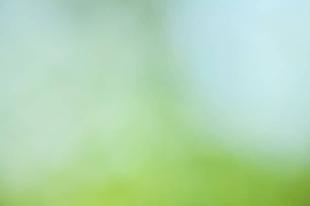 istock Abstract image on blurred green background. Spring and summer screensaver 1312438486