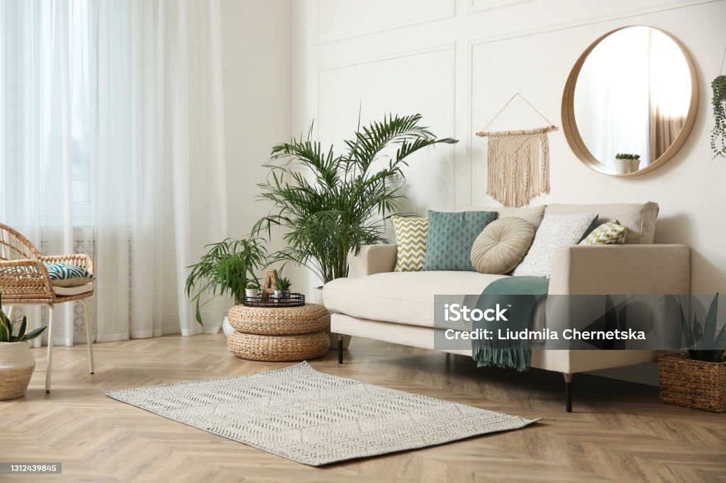 Stylish living room interior with beautiful house plants Living Room Stock Photo