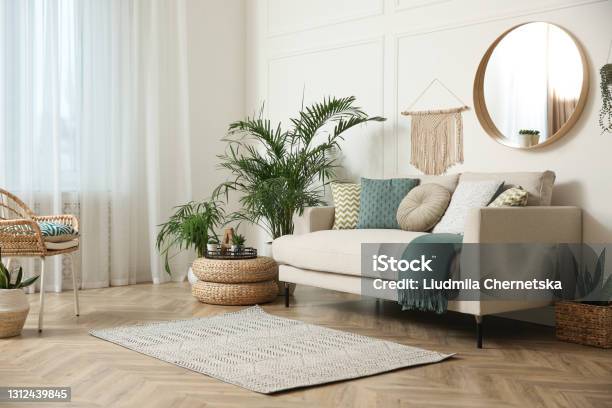 Stylish Living Room Interior With Beautiful House Plants Stock Photo - Download Image Now
