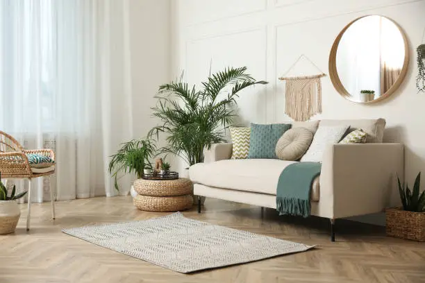 Photo of Stylish living room interior with beautiful house plants