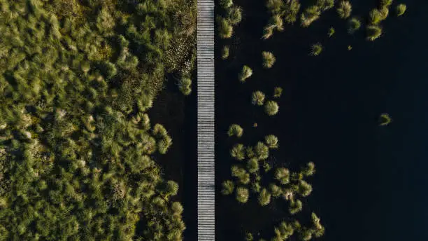 drone shot of wooden boardwalk trough moor landscape. Boardwalk goes trough the middle of the picture. Water plants and a lake.