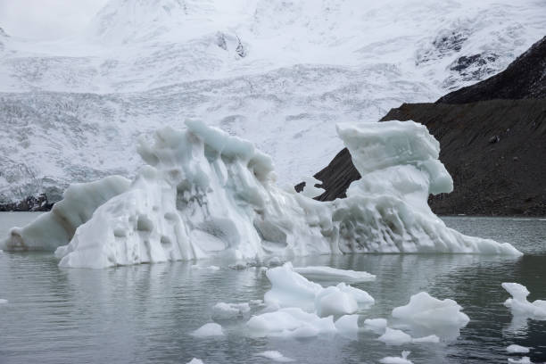 istock Glacier lagoon in Tibet China 1312444571