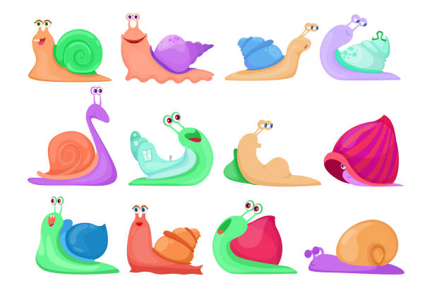 istock Cartoon set of colorful snail characters vector illustration 1312445450