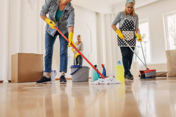 istock Women cleaners working together 1312445465