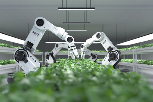 Smart robotic farmers concept, robot farmers, Agriculture technology, Farm automation. 3D illustration