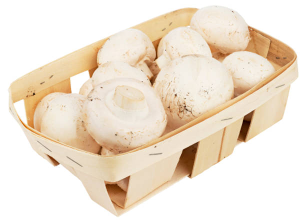 istock Champignon mushrooms in the basket isolated on white background 1312448475