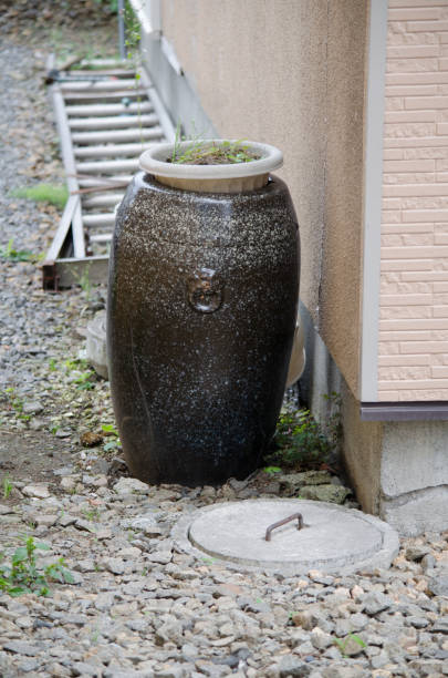 istock Vase next to the house 1312448748