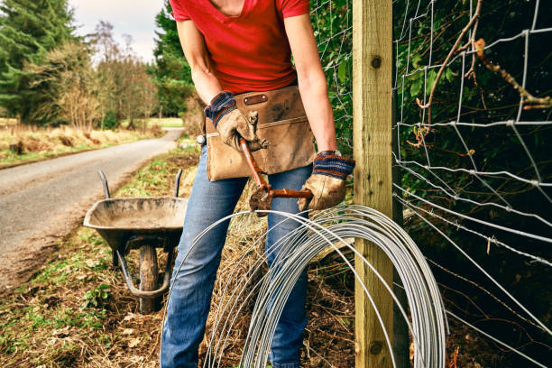 Woman repairing boundary fence Woman repairing a boundary fence after damage from winter snows. fence installation stock pictures, royalty-free photos & images
