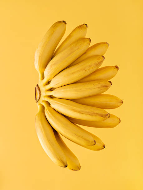 istock Bright yellow bananas on the background of same color. 1312454157