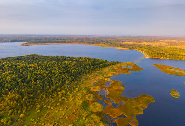 istock Belarusian lake in the morning 1312457428