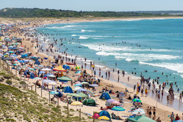 praia superlotada de elouera em um dia quente de verão. pessoas nadando e tomando sol - crowd surfing - fotografias e filmes do acervo