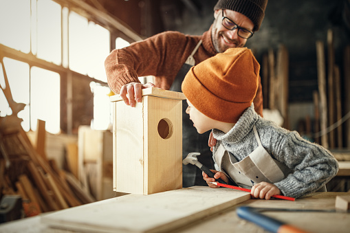 Cheerful adult bearded man and little son in aprons assembling wooden bird house together while working in carpentry workshop