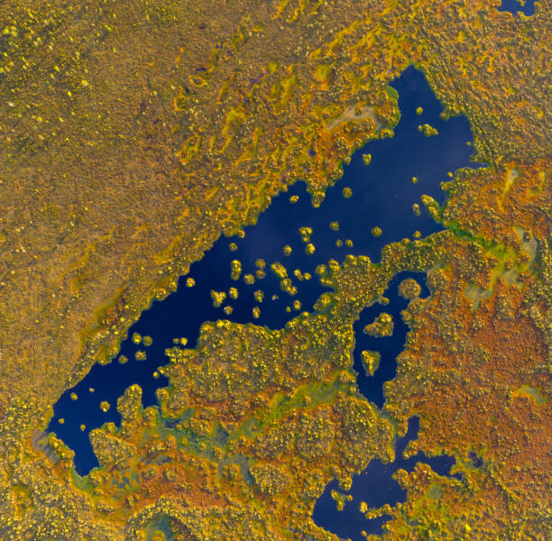 istock Aerial view of a raised bog 1312458838