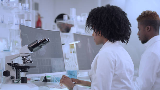 istock African ethnicity doctors working in laboratory. Studying human skeleton and virus models. Discussing 1312460023