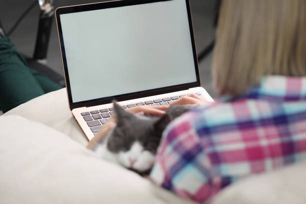 istock Woman is sitting on couch with laptop and cat 1312462833