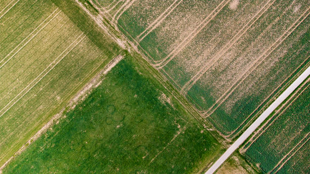 istock Agricultural fields in spring - aerial view 1312463431