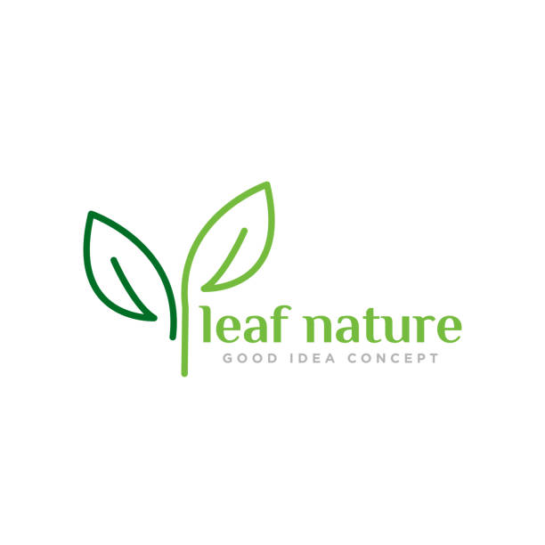 Nature Leaf Logo Design Vector Leaf Nature Logo Design Vector botanical spa treatment stock illustrations