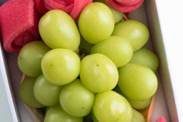 Close up of beautiful boxed Shrine Muscat green grape isolated on white background, clipping path cut out.