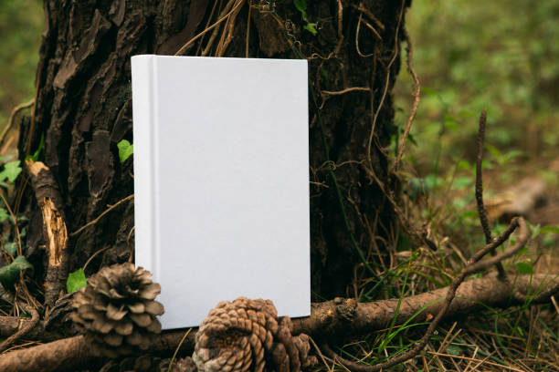 istock book with blank cover and empty cover perched in a forest 1312468372