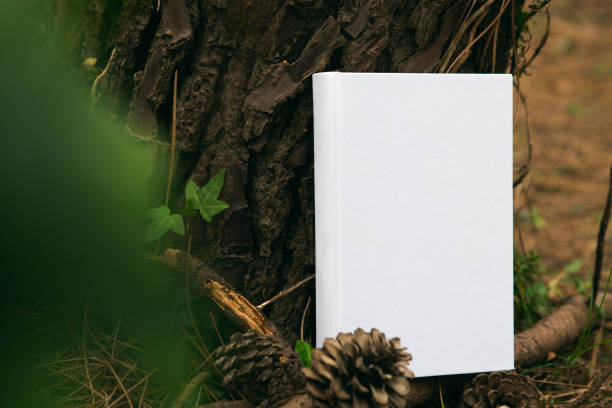 istock book with blank cover and empty cover perched in a forest 1312468392