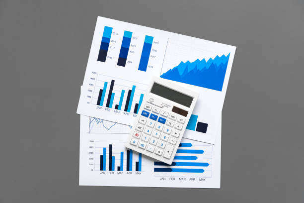 istock Financial paper with charts and diagrams on gray table 1312471020