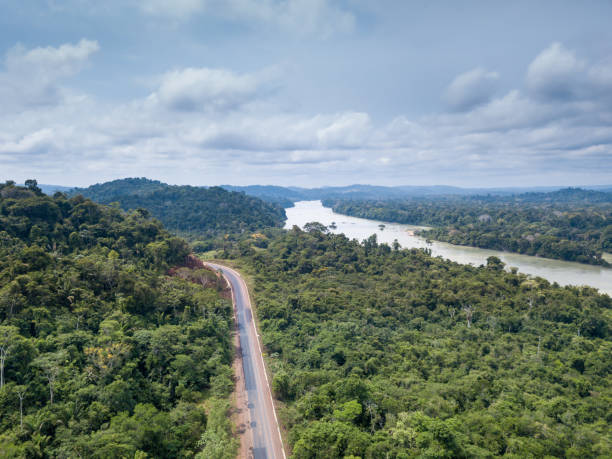 Beautiful drone aerial view of Amazon rainforest trees landscape, BR 163 road and Jamanxim river Para, Brazil. Concept of nature, ecology, environment, global warming, conservation, transport, forest. Beautiful drone aerial view of Amazon rainforest trees landscape, BR 163 road and Jamanxim river Para, Brazil. Concept of nature, ecology, environment, global warming, conservation, transport, forest. climate crisis photos stock pictures, royalty-free photos & images