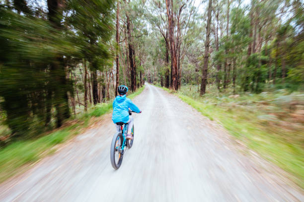 istock Lilydale to Warburton Rail Trail in Australia 1312471932