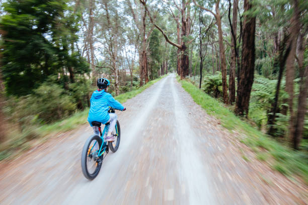 istock Lilydale to Warburton Rail Trail in Australia 1312471942
