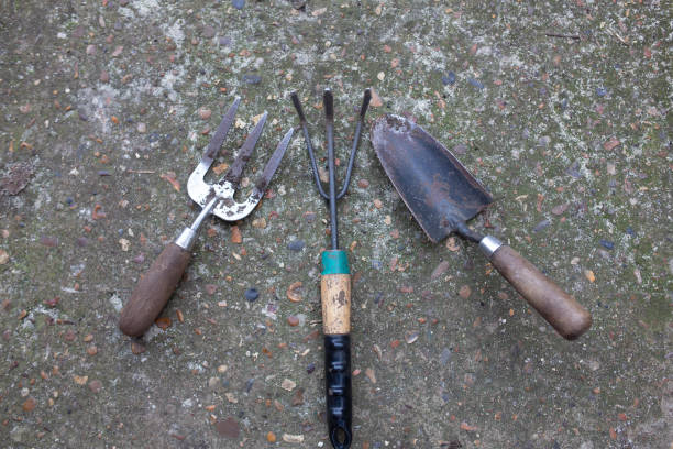 istock Top down view of a three piece gardening set. 1312472511
