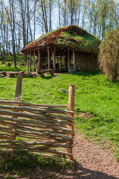 istock Path to a wooden hut at a fence on a meadow 1312478013