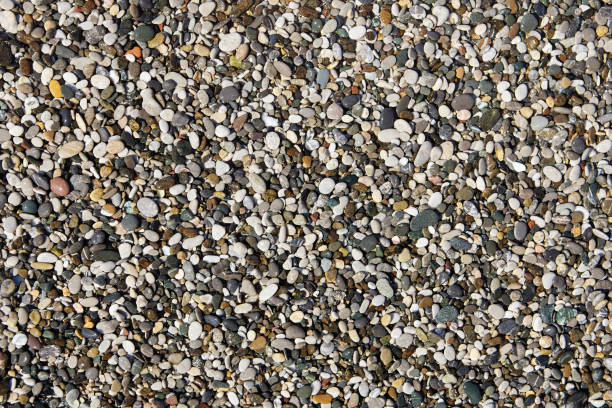 istock Texture of small sea pebbles for backdrop. 1312478981